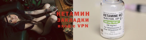 трава Белокуриха