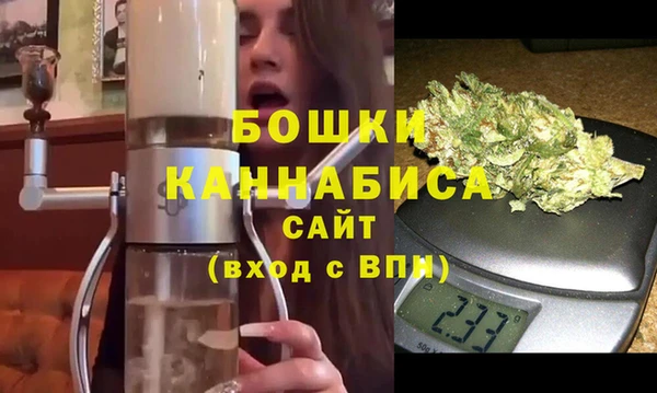 трава Белокуриха