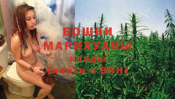 трава Белокуриха