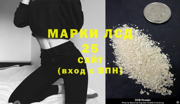 трава Белокуриха
